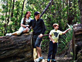 Tahune Airwalk Lodge - Accommodation Sydney 0