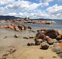 Lake Eckersley campground - Accommodation Sydney