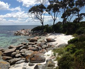 Lake Eckersley Campground - Accommodation Sydney 2