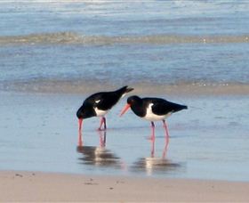 Lake Eckersley Campground - Accommodation Sydney 4