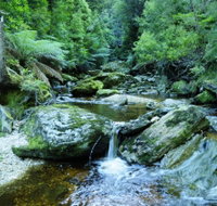 Tarkine Wilderness Experience at Corinna - Accommodation Sydney