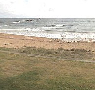 Penguin Caravan Park - Accommodation Sydney