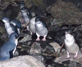 A Portside Experience - King Island - Sydney 4u 4