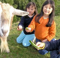 Johanna River Farm and Self Contained Cottages - Sydney 4u
