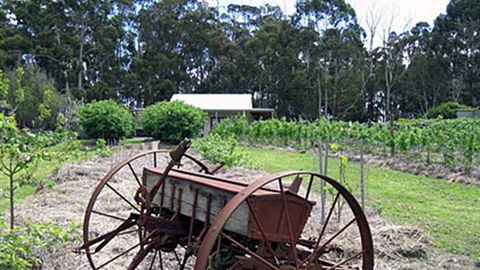 Pennyroyal Raspberry Farm & Cidery - Sydney 4u 2