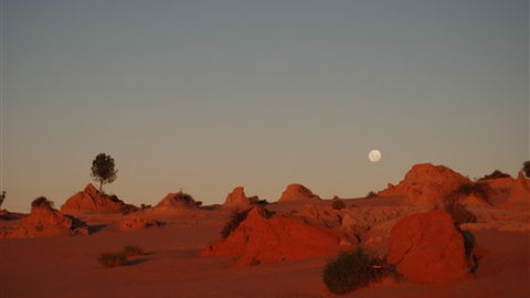 Mungo Lodge - Accommodation Sydney 6