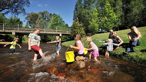 NRMA Bright Holiday Park - Sydney 4u 3
