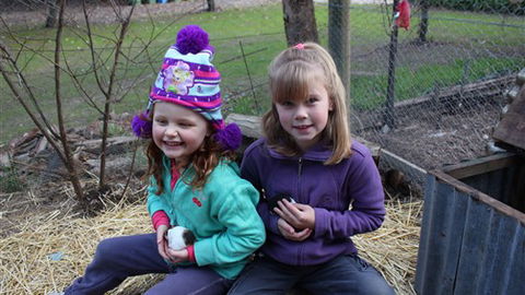 Fernleigh Farmstay & Bike Park - Accommodation Sydney 4