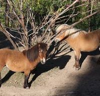 Cloud End Farmstay - Sydney 4u
