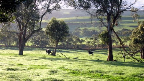 Bellevue Farmstay - Sydney 4u 0