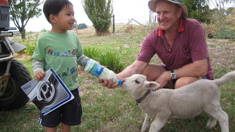 Bellevue Farmstay - Sydney 4u 1