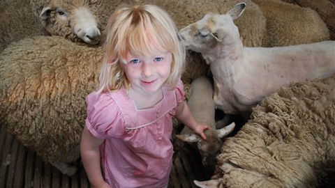 Bellevue Farmstay - Sydney 4u 4