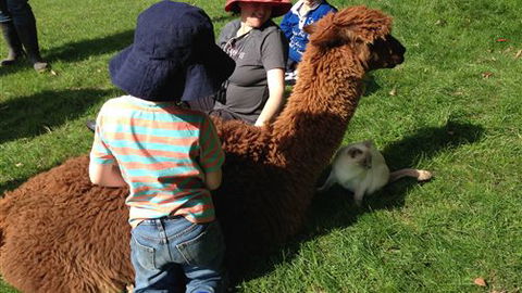 Bellevue Farmstay - Sydney 4u 5