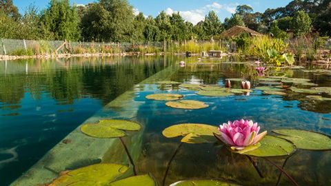 Planetrees Estate  - Accommodation Sydney 0