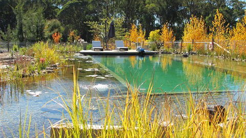 Planetrees Estate  - Accommodation Sydney 5