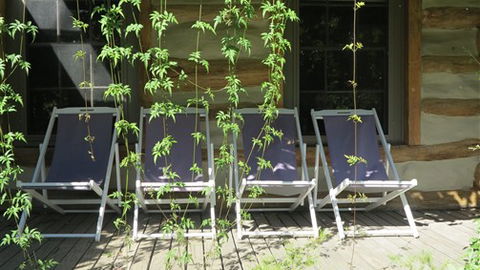 Planetrees Estate  - Accommodation Sydney 7