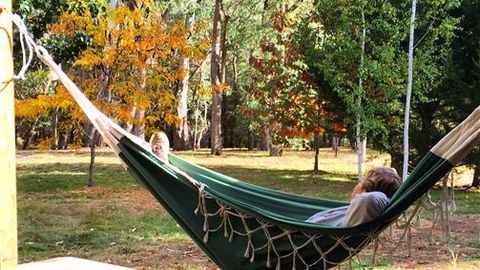 Schusters Lodge - Accommodation Sydney 5
