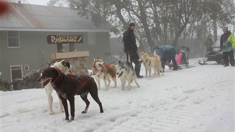 Feathertop Alpine Lodge - Accommodation Sydney 4