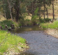 Murphy's Cabin - Accommodation Sydney