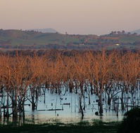 Salisbury - Accommodation Sydney