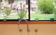 The Escarpment - thumb 3