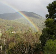 Wattletree Cottage - Accommodation Sydney