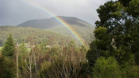 Wattletree Cottage - Accommodation Sydney 0