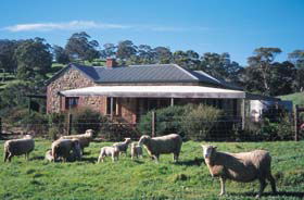 Amanda Stichbury Cottage - Sydney 4u 0
