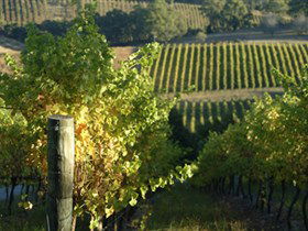 Pike And Joyce Wines - Accommodation Sydney 0