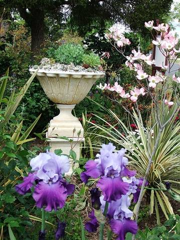 Admurraya House - Accommodation Sydney 2