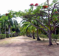 Alva Beach Tourist Park - Sydney 4u