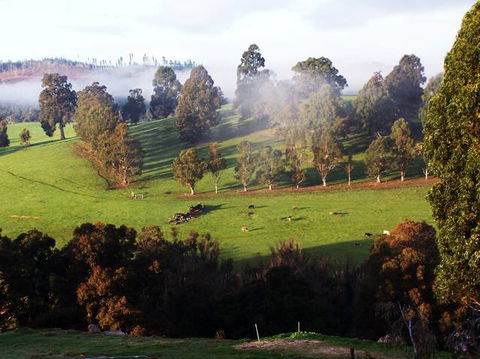 Balingup Vista Chalets - Accommodation Sydney 2