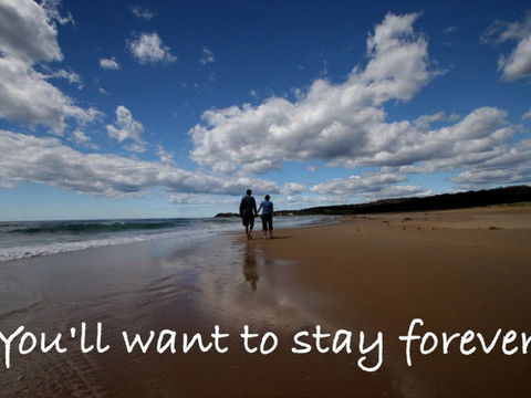 Beachcomber Holiday Park - Sydney 4u 1