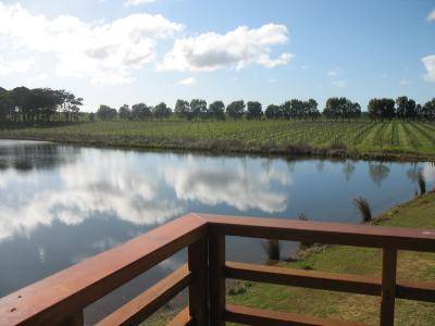 Bettenay's Lakeside Loft Spa Apartment - Accommodation Sydney 1