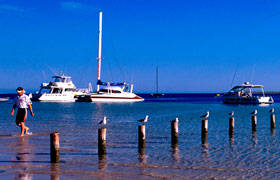 Blue Dolphin Caravan Park & Holiday Village - Accommodation Sydney 4