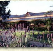 Bluebush Estate - Sydney 4u