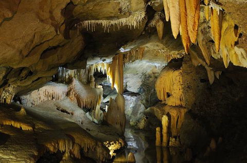 Buchan Caves Reserve - Sydney 4u 4