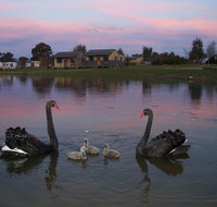 Mansfield Holiday Park - Sydney Resort