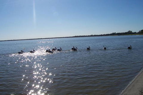 Discovery Holiday Parks - Lake Bonney - Accommodation Sydney 1