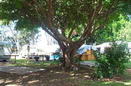 Donnybrook Caravan Park - Sydney 4u 1