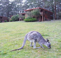 Jenolan Caves Cottages - Sydney 4u