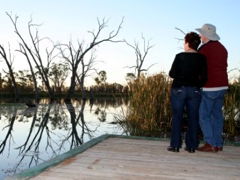 Kingston-On-Murray Caravan Park - Sydney 4u 2