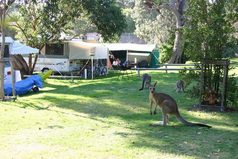 Lakesea Park - Accommodation Sydney 8