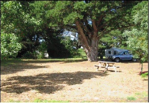 Millicent Hillview Caravan Park - Sydney 4u 4