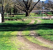 Mongans Bridge Camping Park - Accommodation Sydney