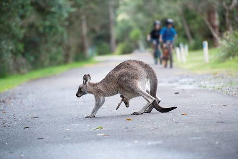 Myall Shores Holiday Park - Accommodation Sydney 11