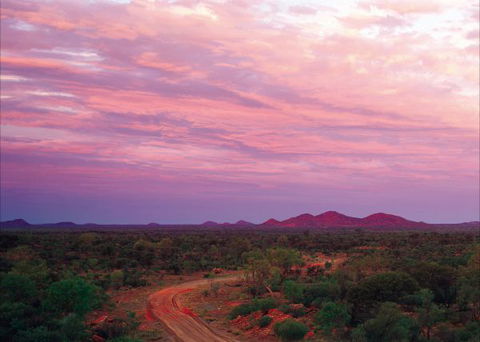 Bond Springs Outback Retreat - Accommodation Sydney 3