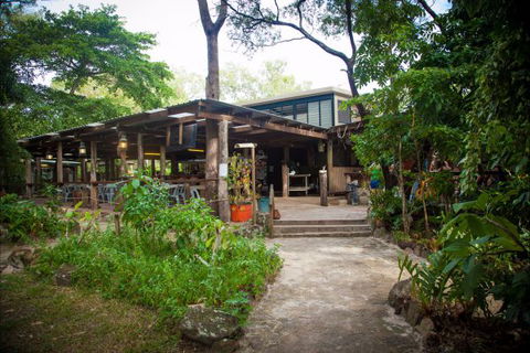 Cape York Camping Punsand Bay - Accommodation Sydney 9