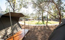 Billabong Camp, Taronga Western Plains Zoo, Dubbo - Accommodation Sydney 1