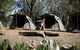 Billabong Camp, Taronga Western Plains Zoo, Dubbo - thumb 6